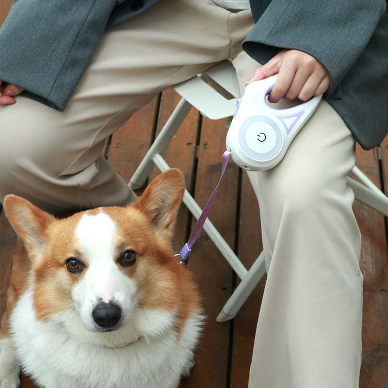 Glow Pet Leash  | The Future of Pet Walking
