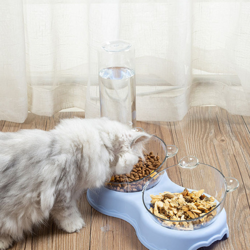 3-in-1 Cat Feeder