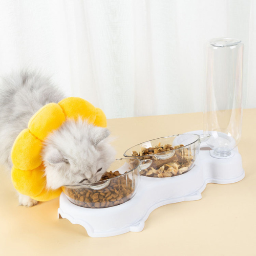 3-in-1 Cat Feeder