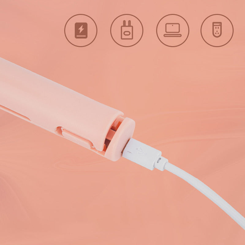 Mini Curl-Straight Styler