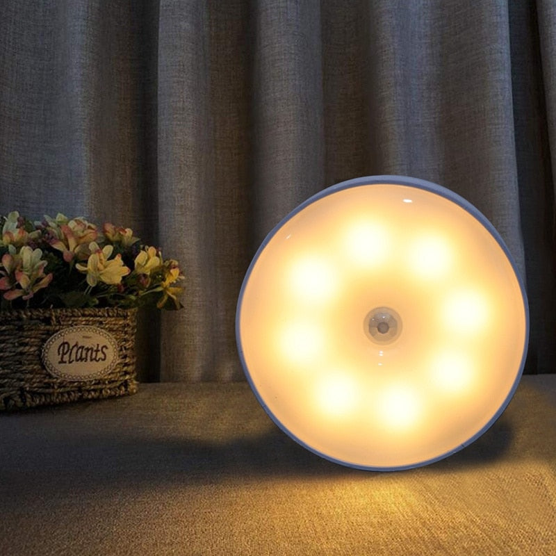 Motion Sensor Light Led
