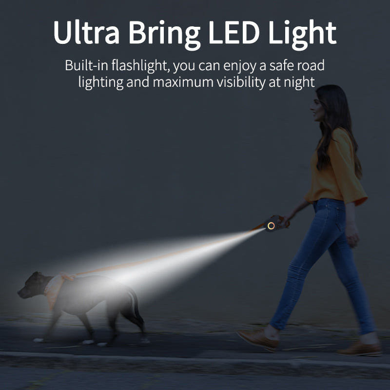 Glow Pet Leash  | The Future of Pet Walking