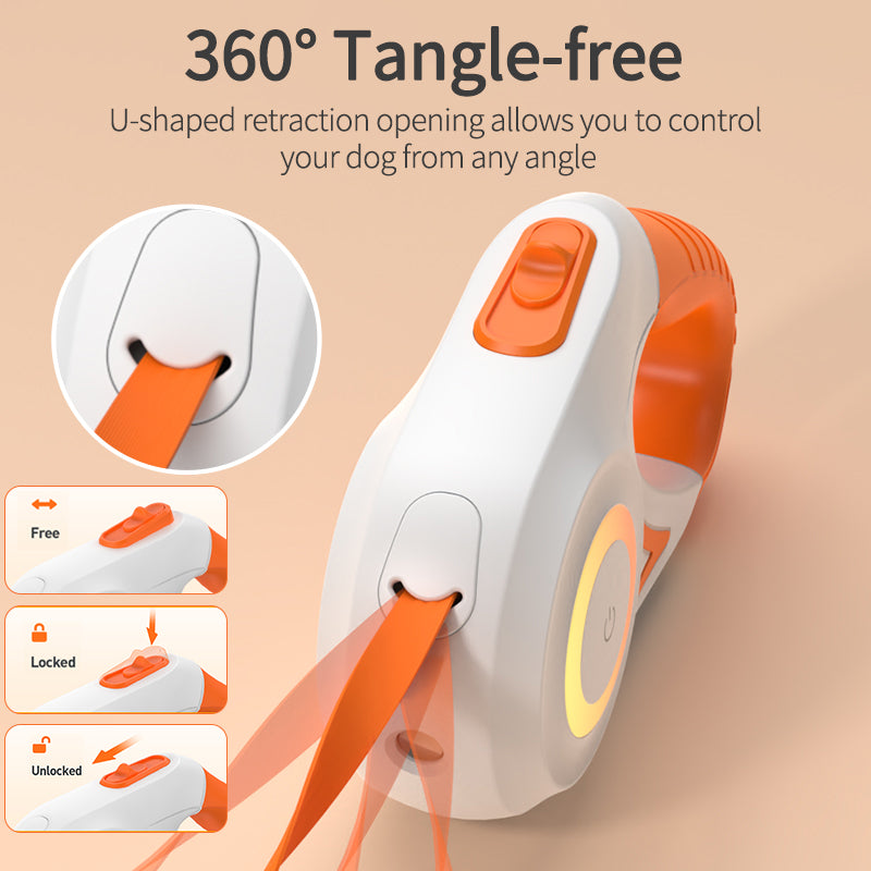 Glow Pet Leash  | The Future of Pet Walking